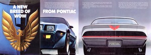 1979 Pontiac Firebird Folder-01.jpg